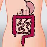 Alle Artikel dieser Kategorie -> Biliopankreatische Diversion /  ( BPD ) Duodenalswitch  Scopinaro