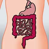 Alle Artikel dieser Kategorie -> Vertical Banded  Gastroplastie ( VBG )  Vertikalband / Gastroplastie